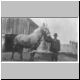 diane Samuel C Parkinson horse 1 300[1].jpg